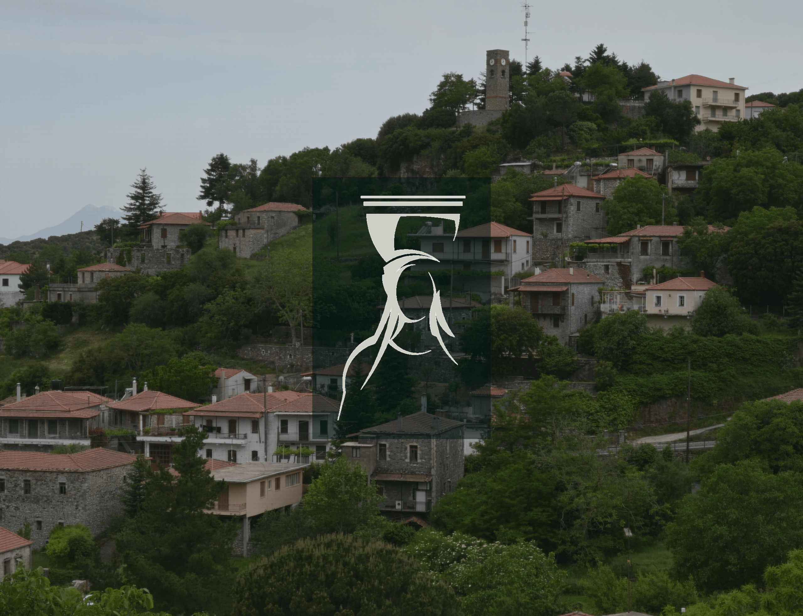 Case Studies by Up & Wave: Επιχειρήσεις που πέτυχαν μέσω custom κατασκευής ιστοσελίδας και στοχευμένων digital στρατηγικών.