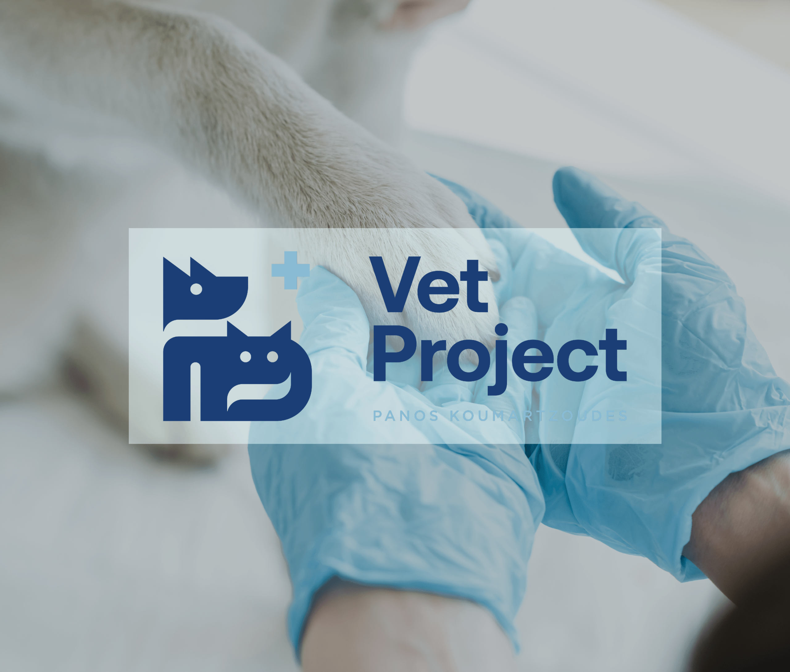 Case Studies by Up & Wave: Projects κατασκευής ιστοσελίδων με πραγματικά, μετρήσιμα αποτελέσματα για σύγχρονες επιχειρήσεις.