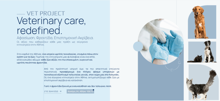 vet-project-casestudy-website1