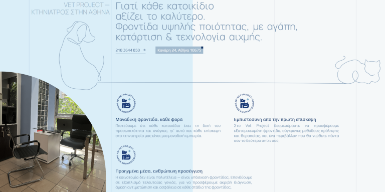 vet-project-casestudy-website3